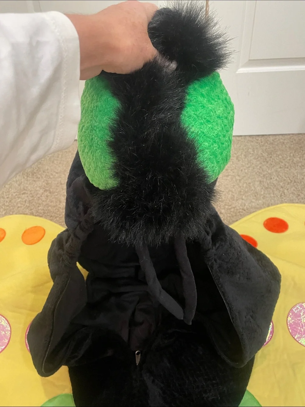 Kids Yellow Butterfly Costume with Black Bodysuit and Hood- Costco